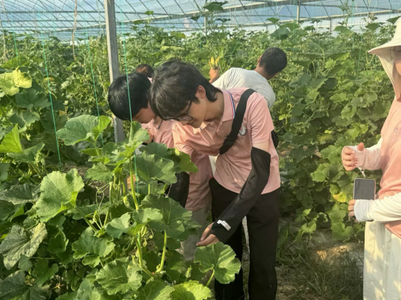 从红色沃土到振兴田野 WilliamHill中文官方网站学子开展暑期社会实践_fororder_图片7