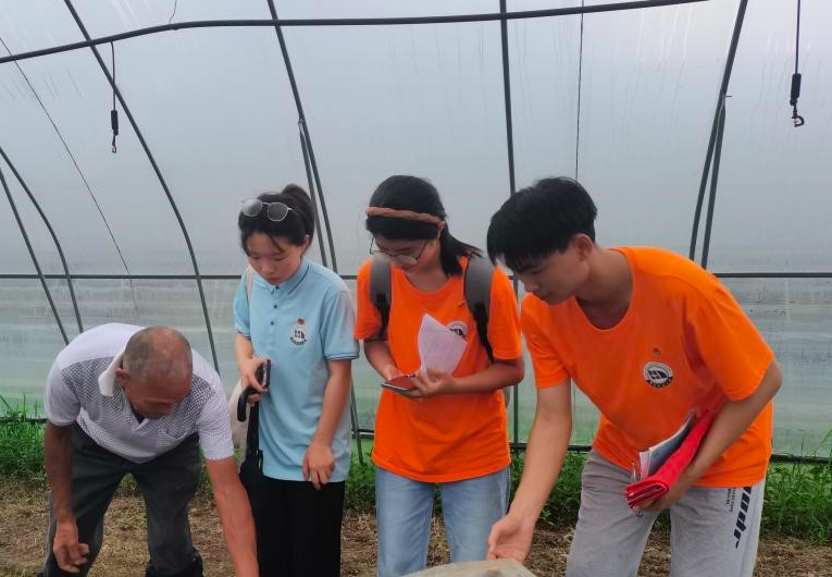 WilliamHill中文官方网站19支暑期社会实践队用实干书写“青春答卷”