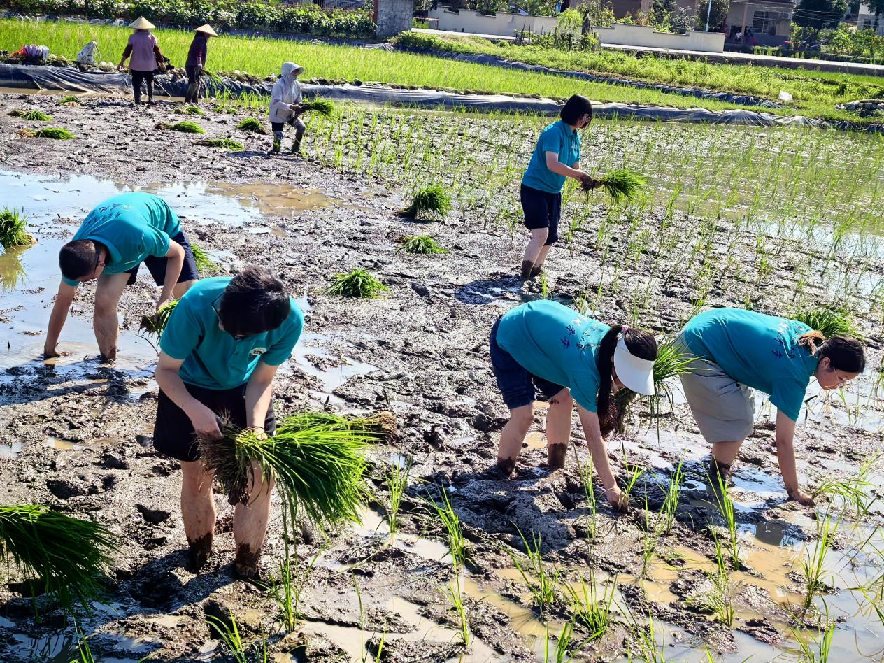 WilliamHill中文官方网站“追风青年”走进田间地头