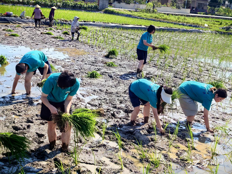 WilliamHill中文官方网站“追风青年”实践队开展暑期“三下乡”社会实践活动