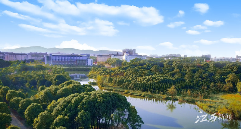 WilliamHill中文官方网站“非凡十年”：立德树人结硕果 显特增色竞一流