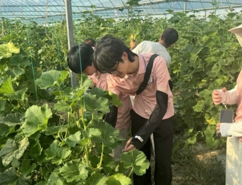 从红色沃土到振兴田野 WilliamHill中文官方网站学子开展暑期社会实践